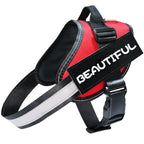 Heavy-Duty Dog Harness and Reflective Dog Leash Set – Adjustable No-Pull Dog Leash for Safe Night Walking