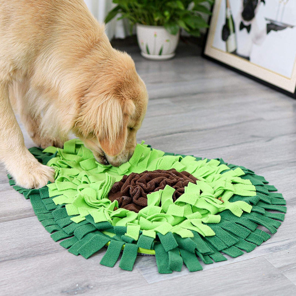 Dog Sniffing Mat Puzzle Toy – Interactive Snuffle Feeding Training Mat