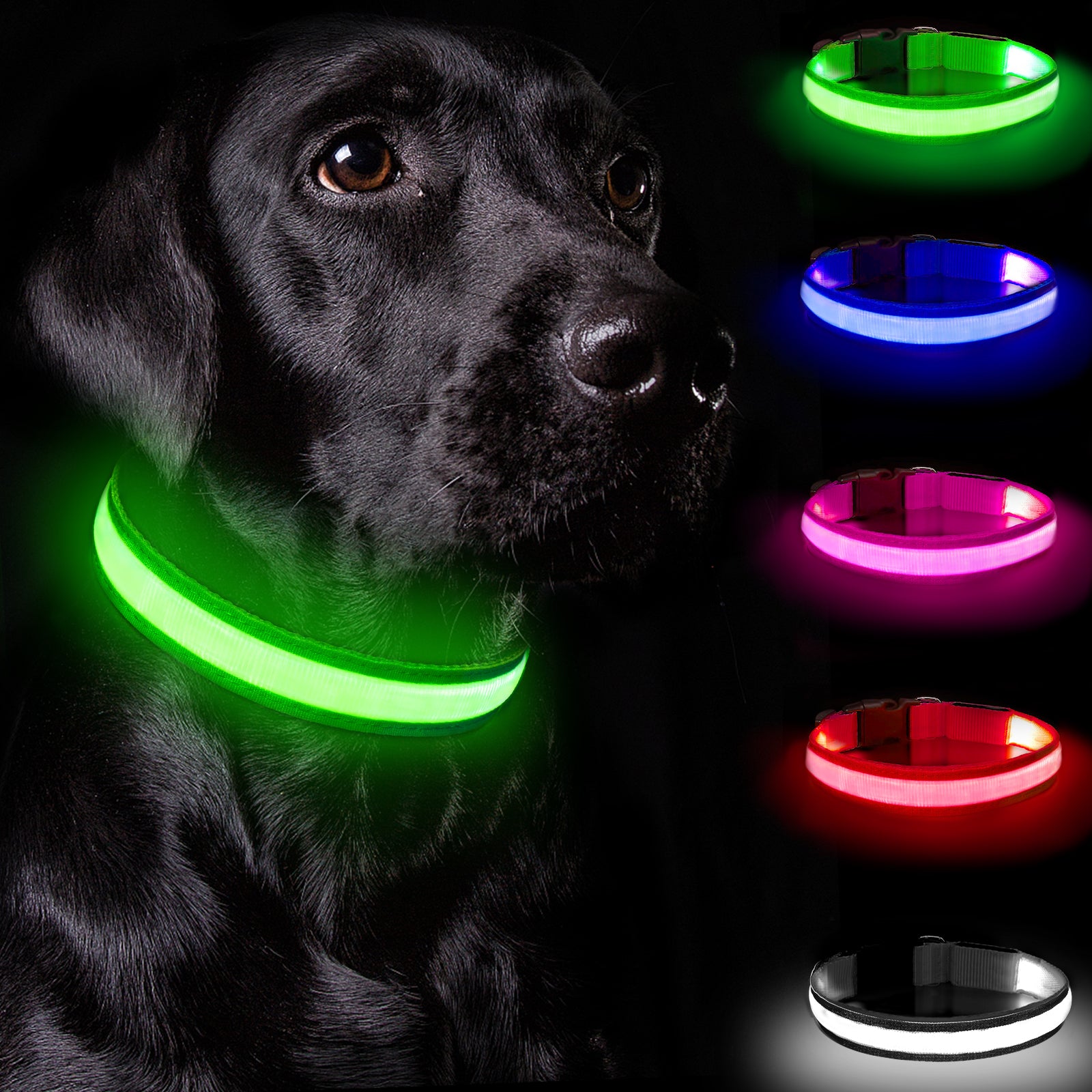 Light Up Dog Collar - Dog Collar Lights For The Dark Night, Adjustable Flashing Dog Collar Rechargeable, LED Dog Collar With 3 Flash Modes For Large, Medium And Small Dogs--Size L