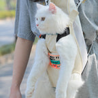 Cat Backpack Pet Carrier with Bubble Window - Breathable Travel Bag for Cats