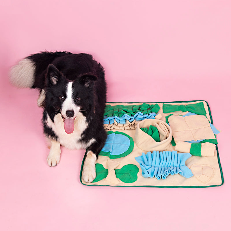 Snuffle Mat for Dogs – Nosework Feeding & Puzzle Training Blanket
