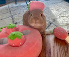 Cute Plush Strawberry Snuffle Mat – Interactive Feeding Toy for Pets