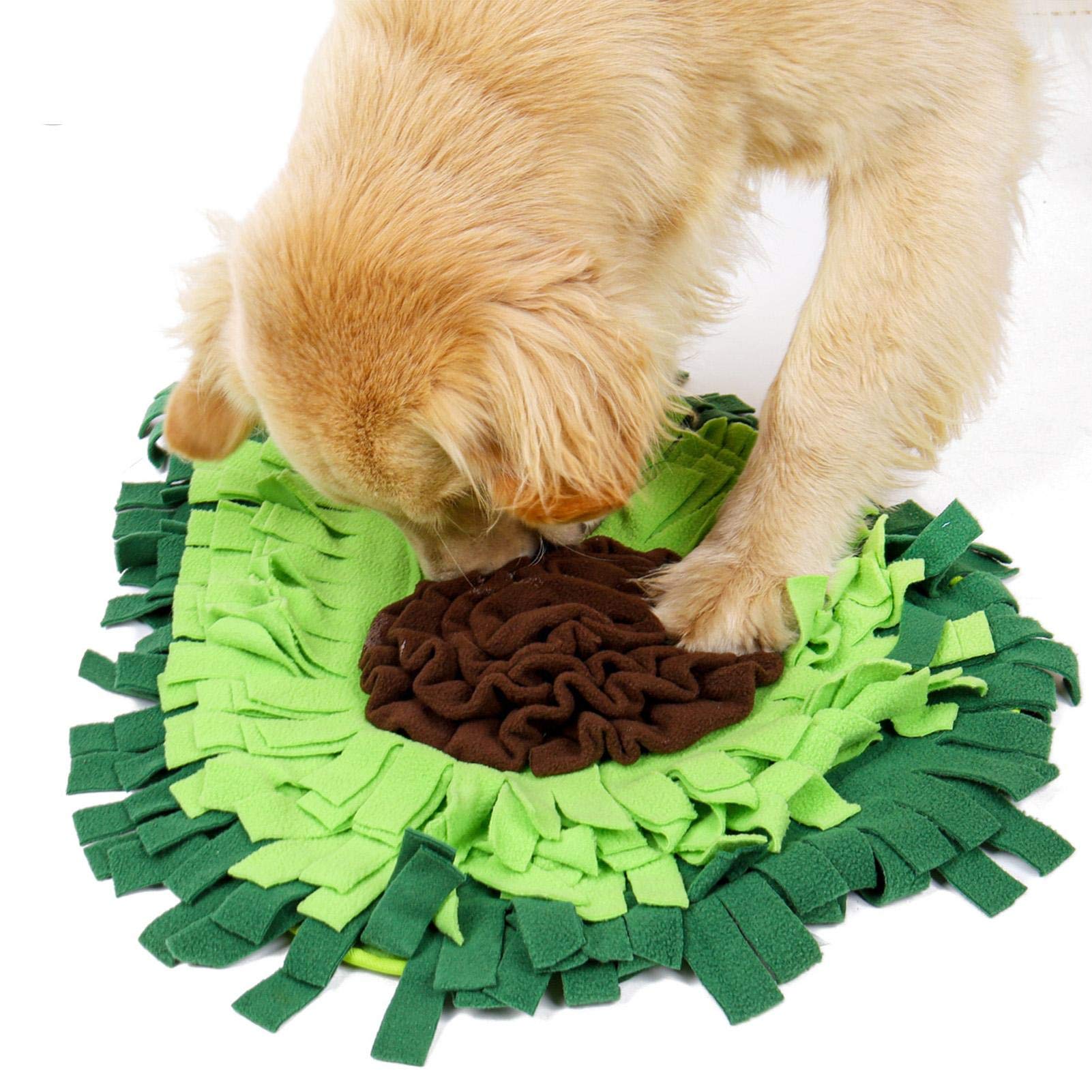 Dog Sniffing Mat Puzzle Toy – Interactive Snuffle Feeding Training Mat