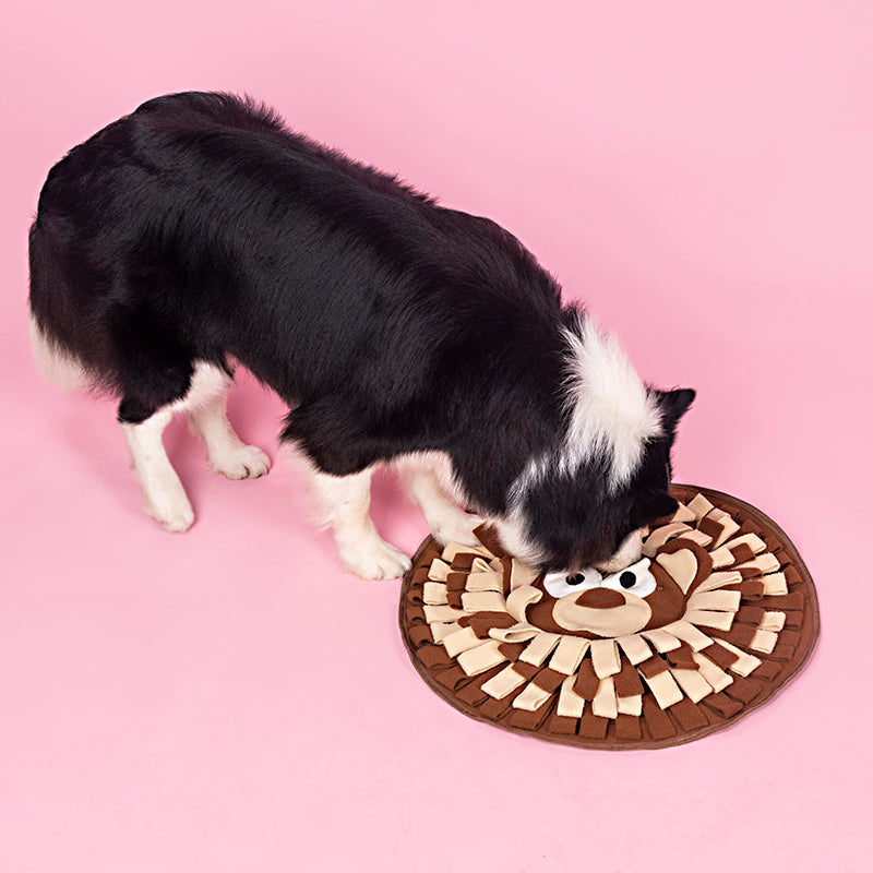 Dog Snuffle Mat & Interactive Puzzle Toy