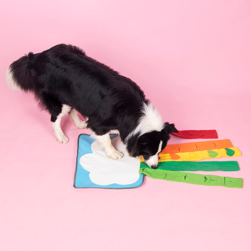 Pet Rainbow Snuffle Mat for Dogs – Interactive Nosework Puzzle Mat