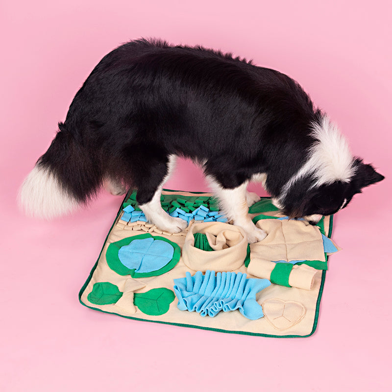 Snuffle Mat for Dogs – Nosework Feeding & Puzzle Training Blanket
